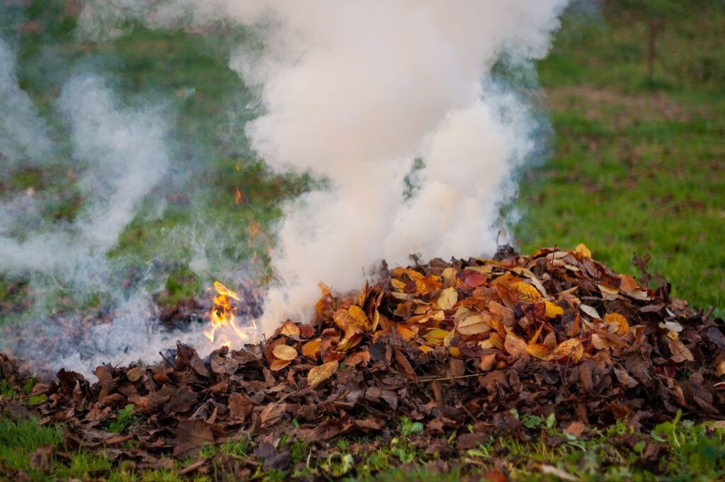 Burning of Waste and Fuels