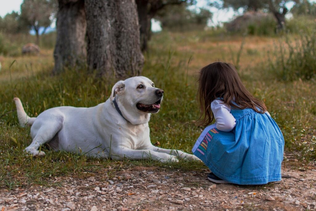 Why Children, Babies, and Pets Are More at Risk
